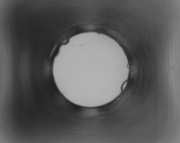 X0000100500476200807111147