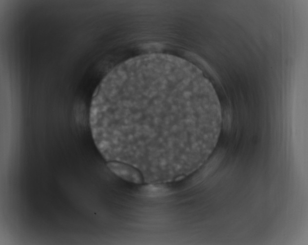 X0000100500477200807111147