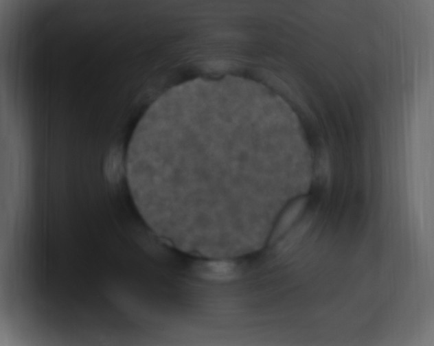 X0000100500478200807111147