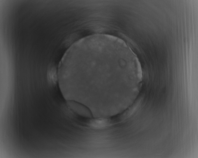 X0000100500479200807111147