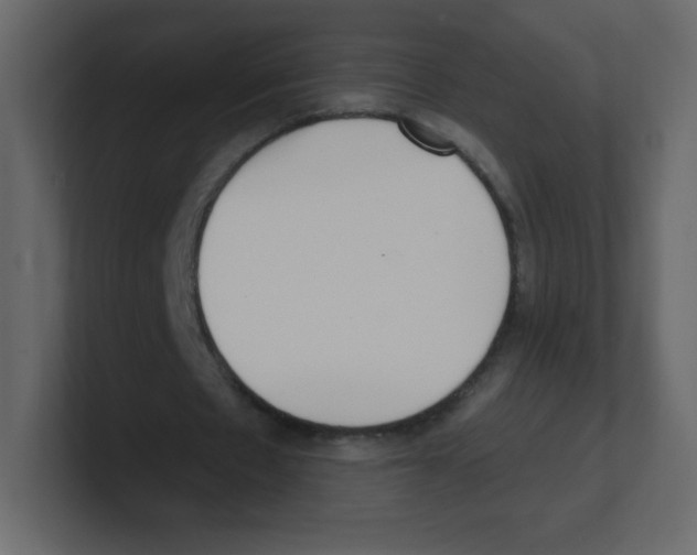 X0000100500481200807111146