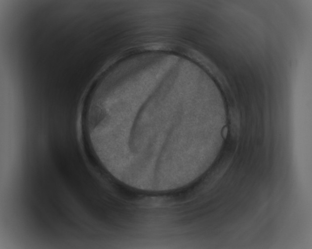 X0000100500482200807111146