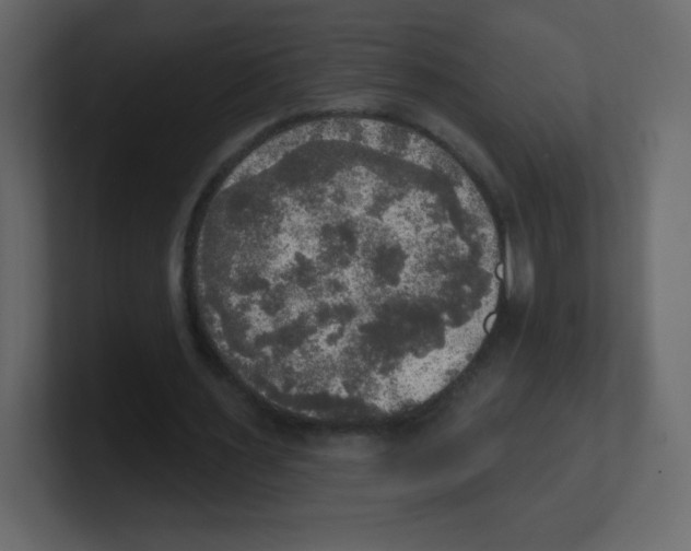 X0000100500483200807111146