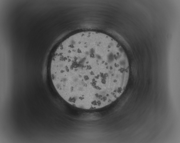 X0000100500488200807111146