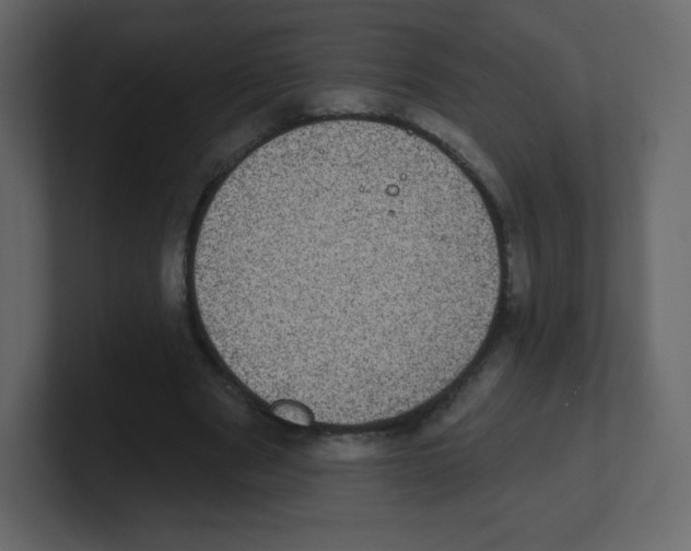 X0000100500489200807111146