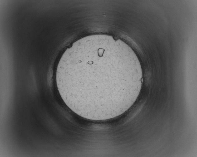 X0000100500490200807111146