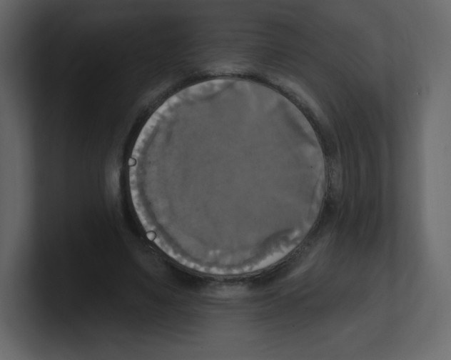 X0000100500491200807111146