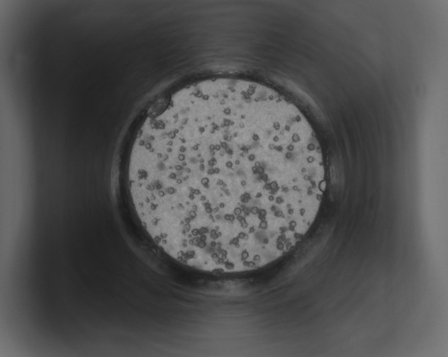 X0000100500492200807111146