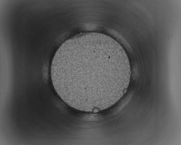 X0000100500497200807111146