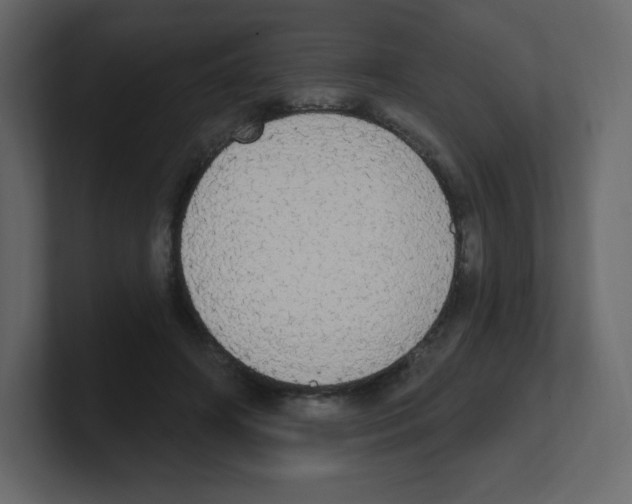 X0000100500498200807111146