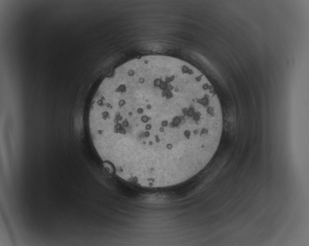 X0000100500500200807111146
