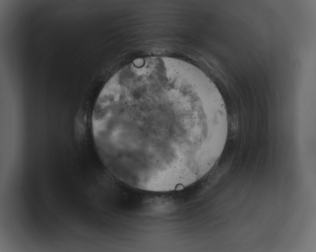 X0000100500503200807111146