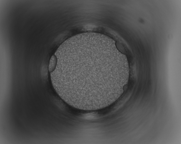 X0000100500505200807111146