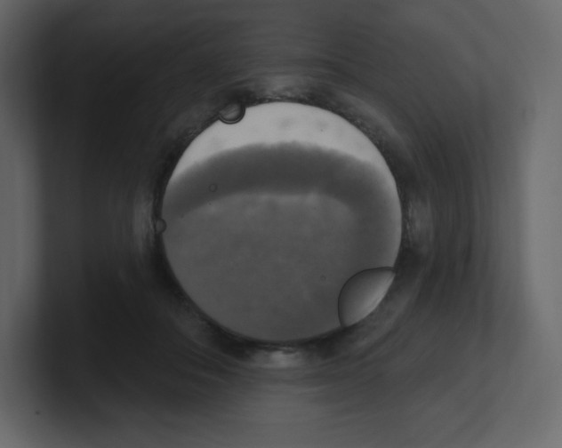 X0000100500506200807111146