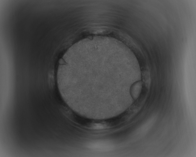 X0000100500510200807111146