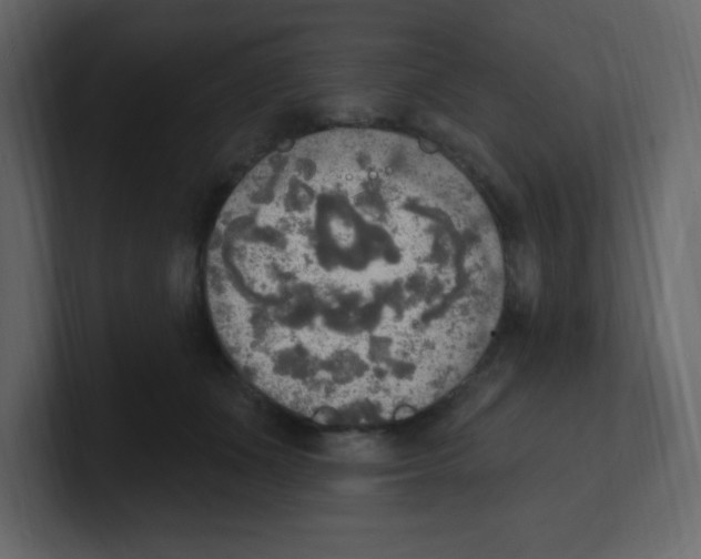 X0000100500511200807111146