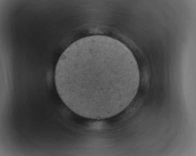 X0000100500513200807111146