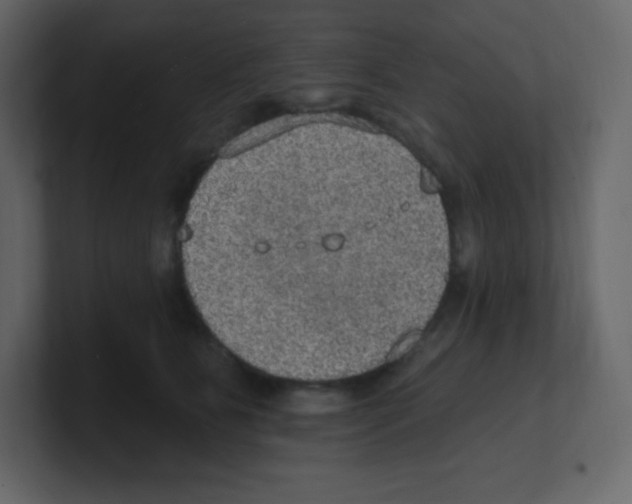 X0000100500515200807111146