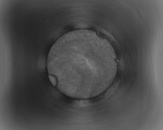 X0000100500517200807111146