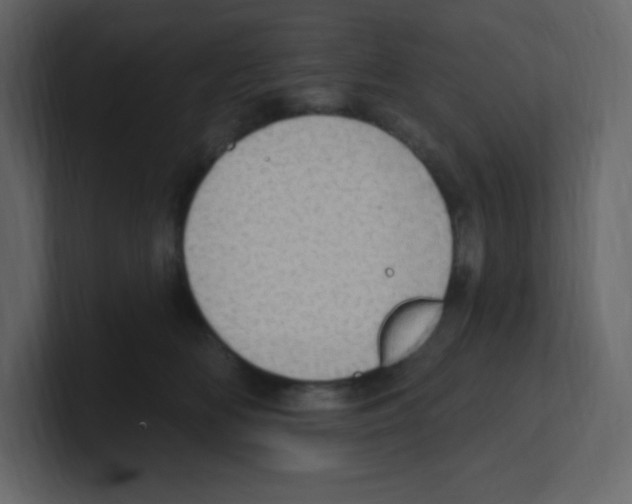 X0000100500518200807111146