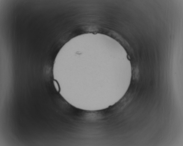 X0000100500521200807111145