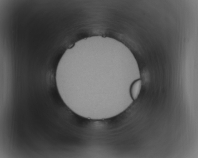 X0000100500522200807111145