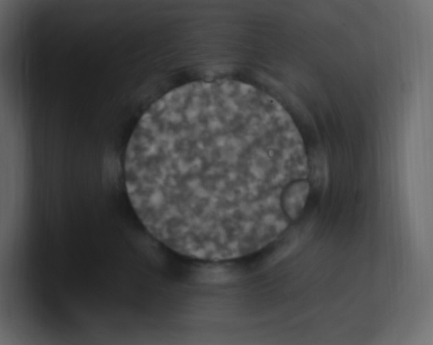 X0000100500523200807111145