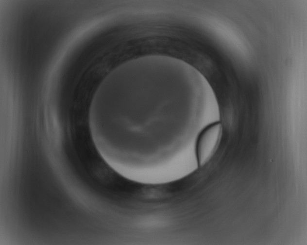 X0000100500526200807111145