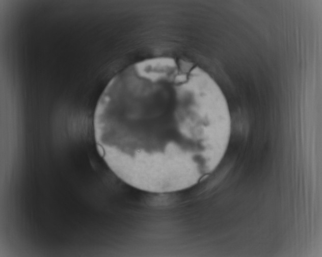 X0000100500527200807111145