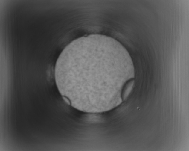 X0000100500528200807111145