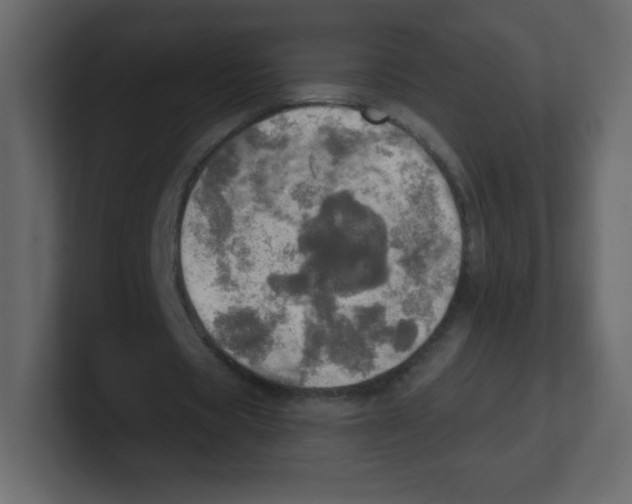 X0000100500529200807111145