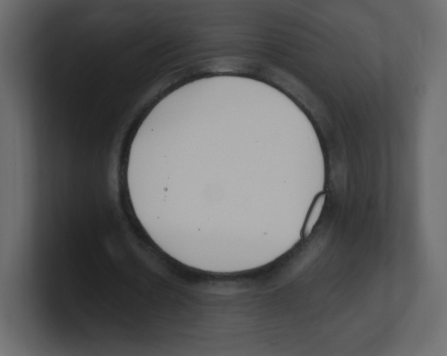 X0000100500530200807111145