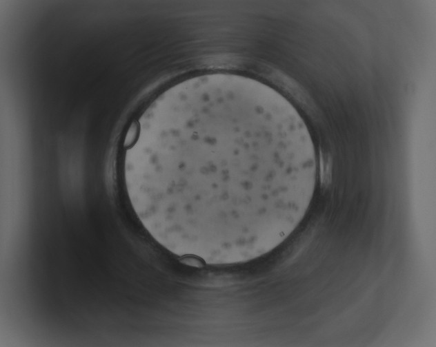 X0000100500531200807111145