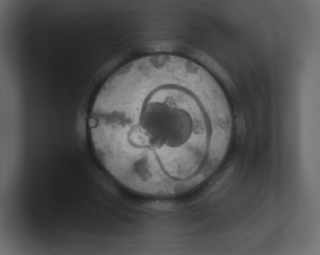 X0000100500537200807111145