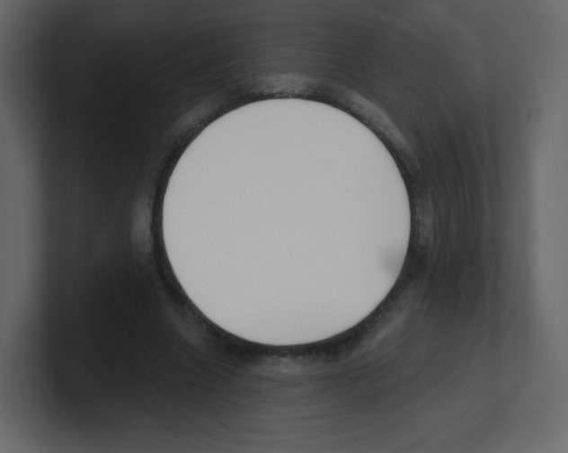 X0000100500538200807111145