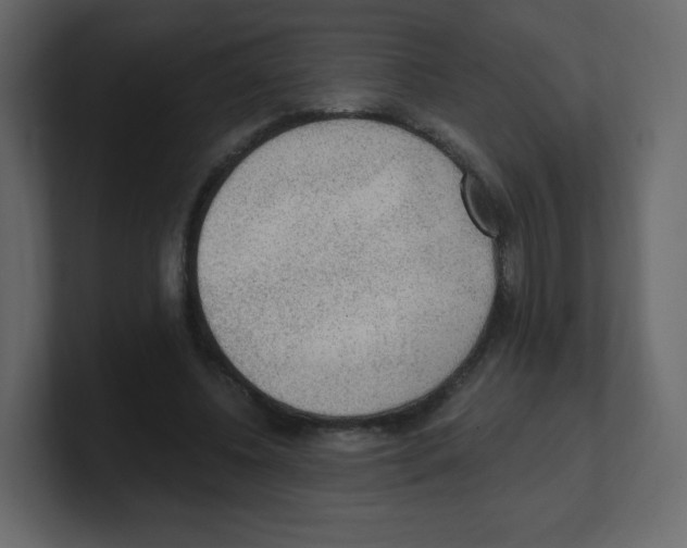 X0000100500540200807111145