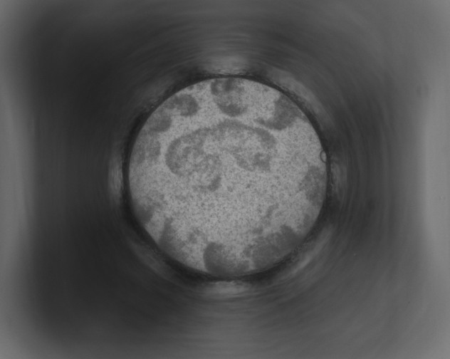 X0000100500541200807111145