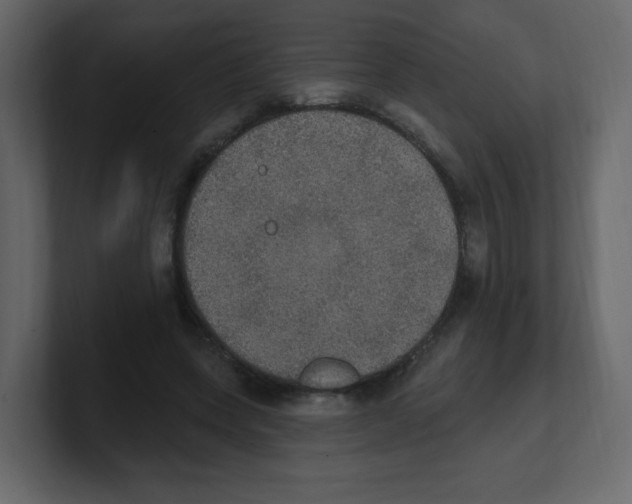 X0000100500543200807111145