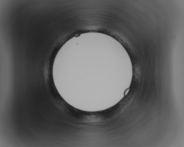 X0000100500544200807111145