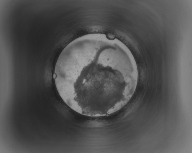 X0000100500545200807111145