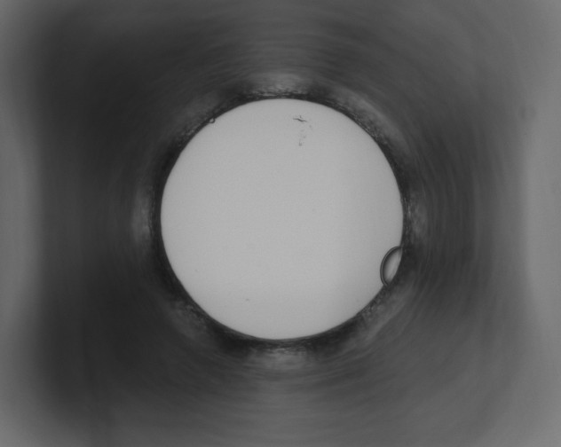 X0000100500546200807111145