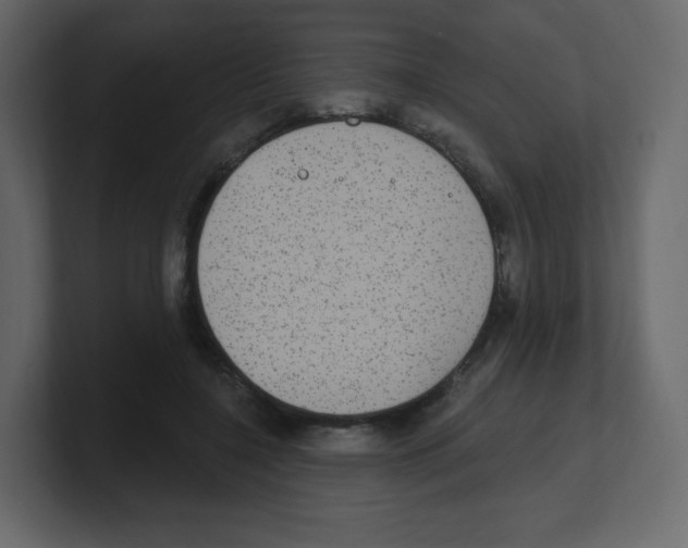 X0000100500548200807111145