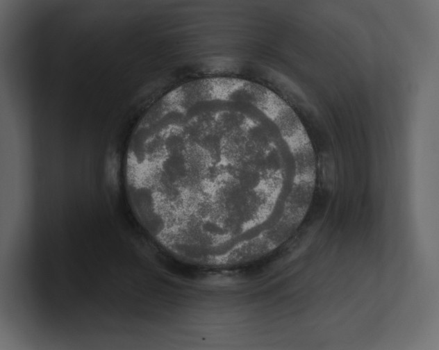 X0000100500550200807111145