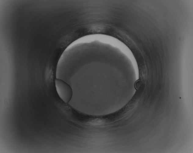 X0000100500551200807111145