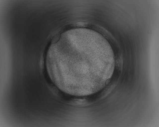 X0000100500552200807111145