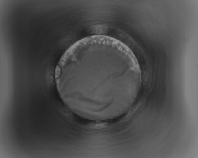 X0000100500553200807111145