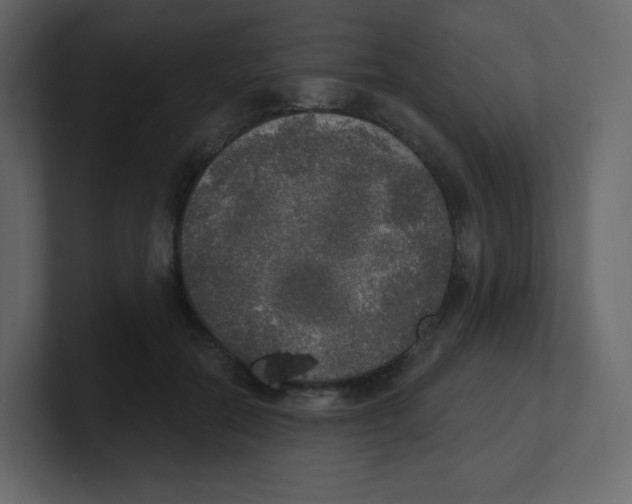 X0000100500554200807111145