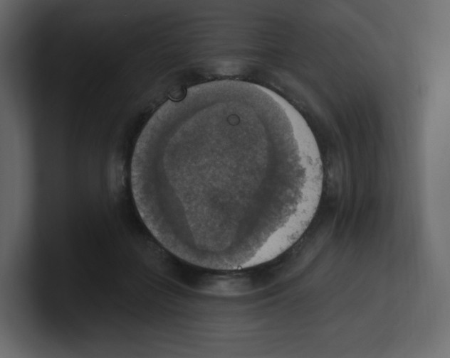 X0000100500555200807111145