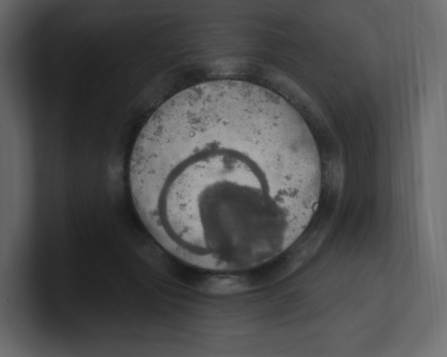 X0000100500557200807111145