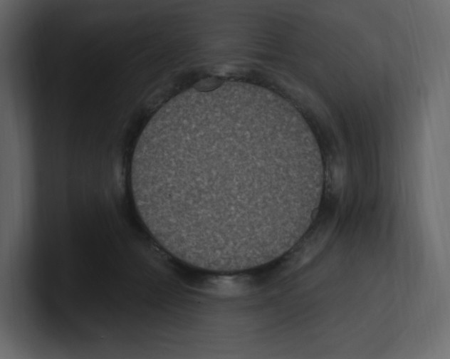 X0000100500558200807111145